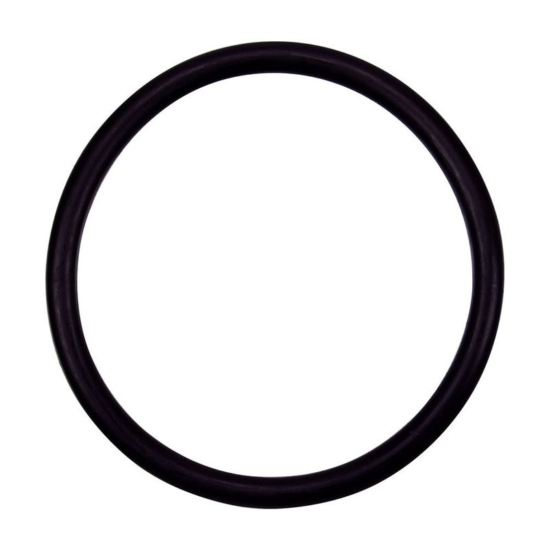 Pentair Pentair 154492 2-Inch Bulkhead O-Ring Replacement Pool and Spa Sand Filter 