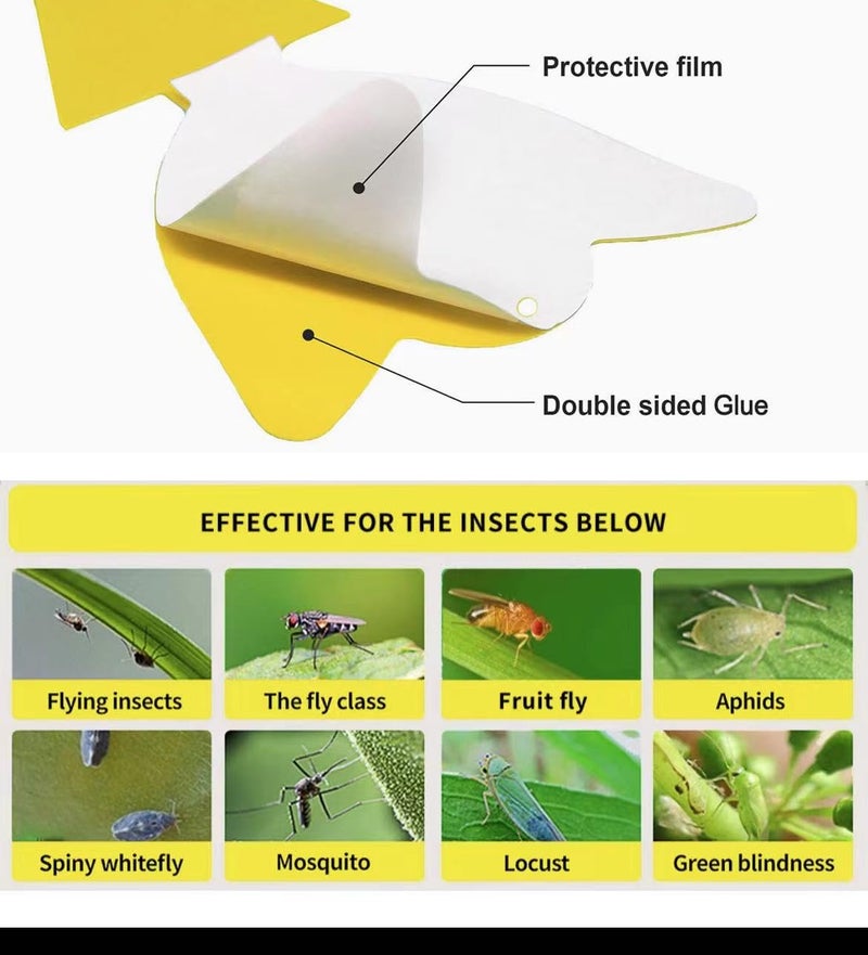 Greenkeeper 36 Pcs Classic Sticky Traps for Fungus Gnat (Plants), Fruit Fly, Whitefly, and Fly, Yellow Sticky Insect Catcher Traps for Indoor/Outdoor, Kitchen, and Plants, High-End Glue, Non-Toxic, 4 Shapes - Image 3