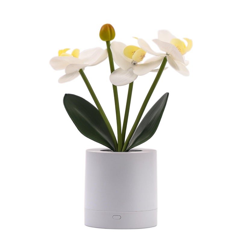 WSYEAR Valentines Day Flower Lamp Gifts for Her Women Wife Artificial Orchid Flower 3 Branches in White Pot  Realistic Fake Butterfly Orchid Bonsai for Bathroom Living Room Decor - Image 4