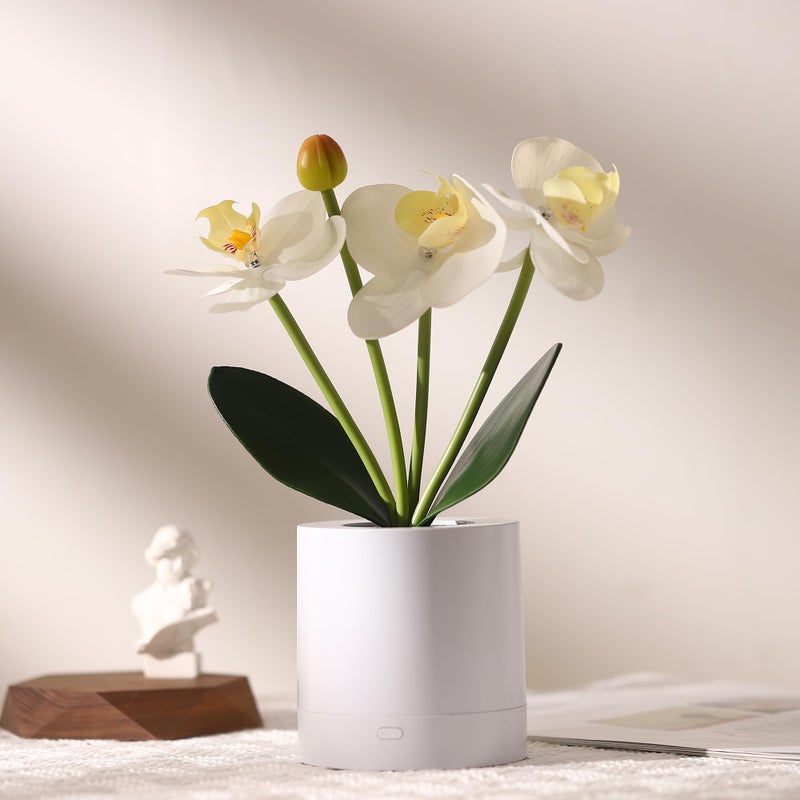 WSYEAR Valentines Day Flower Lamp Gifts for Her Women Wife Artificial Orchid Flower 3 Branches in White Pot  Realistic Fake Butterfly Orchid Bonsai for Bathroom Living Room Decor - Image 3