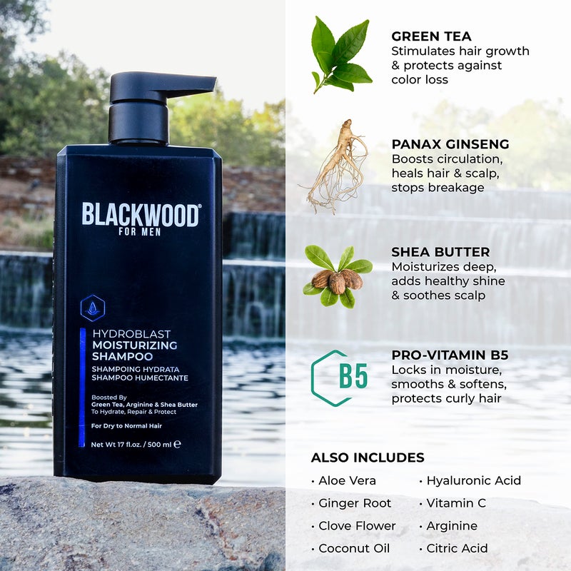 Blackwood For Men Hydroblast Moisturizing Shampoo - Men's Shampoo for Coarse, Dry, & Curly Hair - Infused with Ginseng & Ginger- Natural Vegan Formula -Sulfate Free, Paraben Free & Cruelty Free(17 Oz) - Image 4