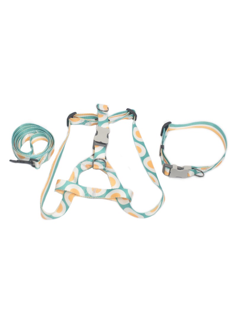 PL - طقم سرج وطوق ومقود للكلاب متوسط ​​الحجم - أخضر