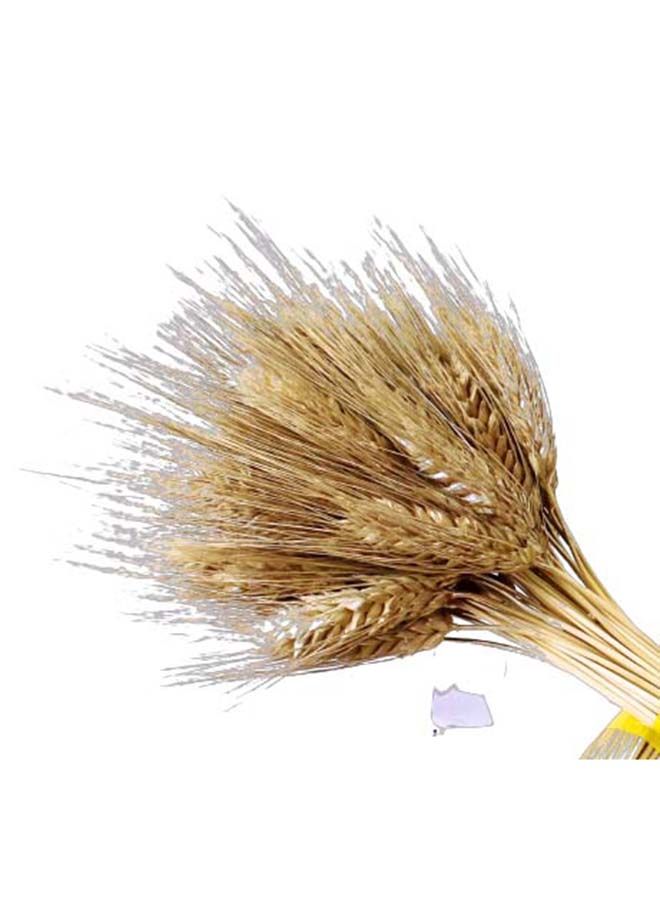 Generic Natural Dried Wheat Grass Artificial Bundle Bouquet  - Image 4