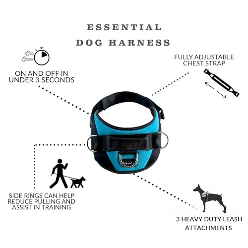 ShawnCo Essential Dog Harness, No-Pull Pet Vest with 3 Leash Clips, No Choke, Reflective, Adjustable and Padded, for Easy Walking and Training for Small, Medium and Large Dogs (Dark Camo, Medium) - Image 4