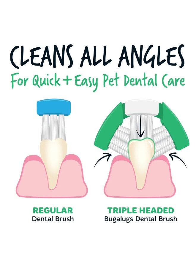 Bugalugs Dental Care Kit 1 for Dogs & Cats - 75G - Image 5
