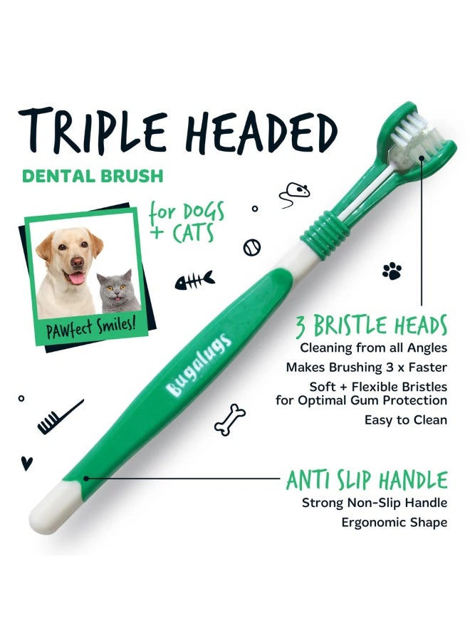 Bugalugs Dental Care Kit 1 for Dogs & Cats - 75G - Image 4