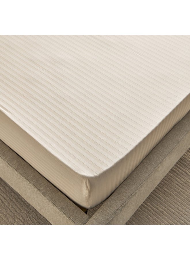 Hamilton Satin Stripe Twin Fitted Sheet 120 x 200 x 36 cm - pzsku/ZE62FFF1666CC2236E10AZ/45/_/1731330076/503532d2-062e-49e8-ad5f-5bd873c5436f