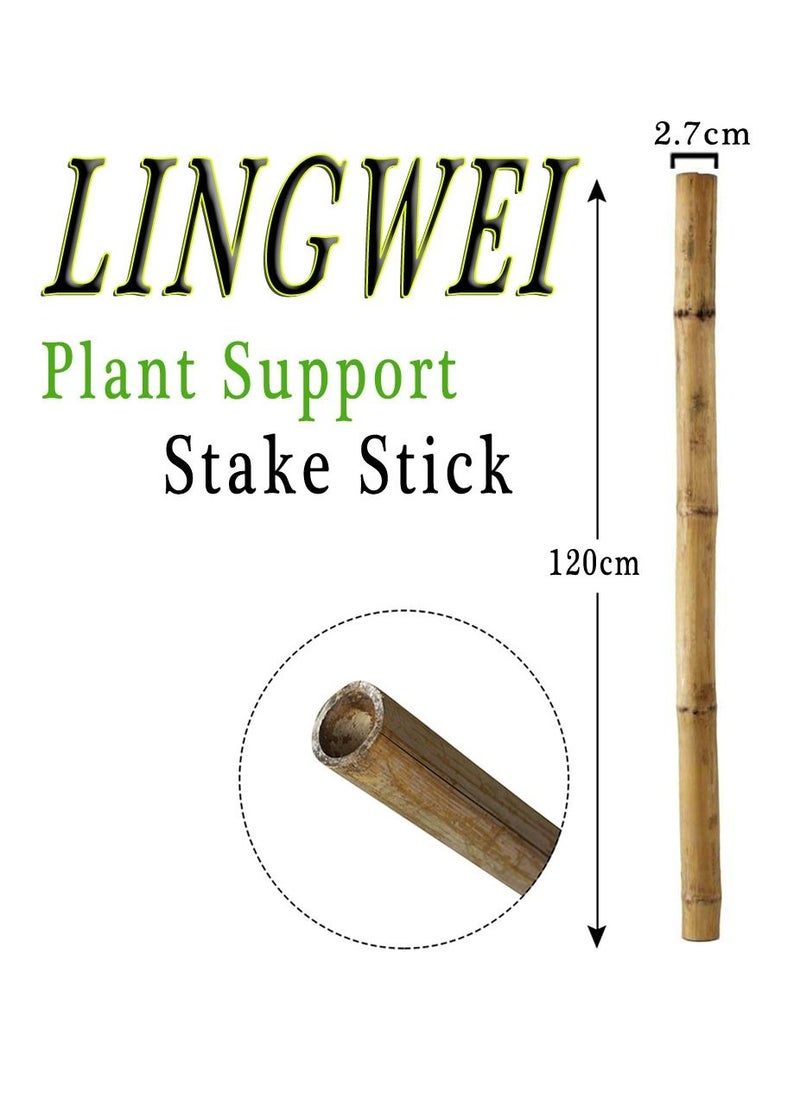 LINGWEI Natural Garden Bamboo Sticks For Indoor and Outdoor Plants Flowers Vine Plants Support Garden Canes Poles Stakes ((120cm)(6pcs))  - Image 4