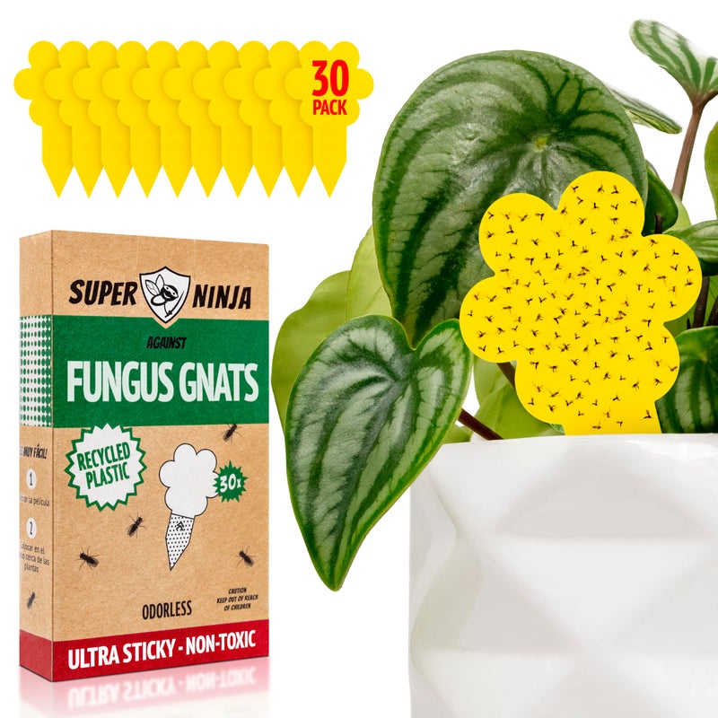 Super Ninja Fungus Gnat Traps - 30 Pack, Highly Effective Gnat Traps for House Indoor, Yellow Sticky Trap for Plants, Non-Toxic & Nature-Friendly, Up to 3 Months - Image 1