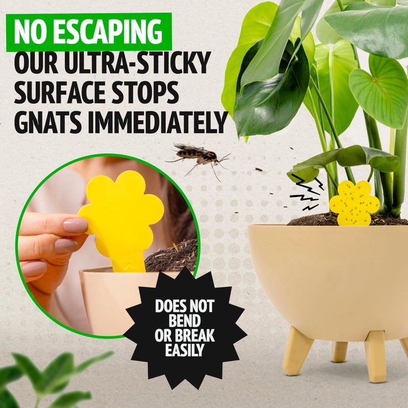 Super Ninja Fungus Gnat Traps - 30 Pack, Highly Effective Gnat Traps for House Indoor, Yellow Sticky Trap for Plants, Non-Toxic & Nature-Friendly, Up to 3 Months - Image 2
