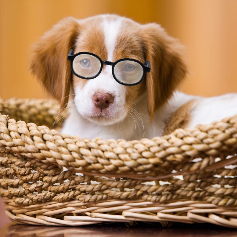 2Pcs Pet Dog Glasses Fashionable Puppy Party Eyeglasses Pet Eyewear - Image 1