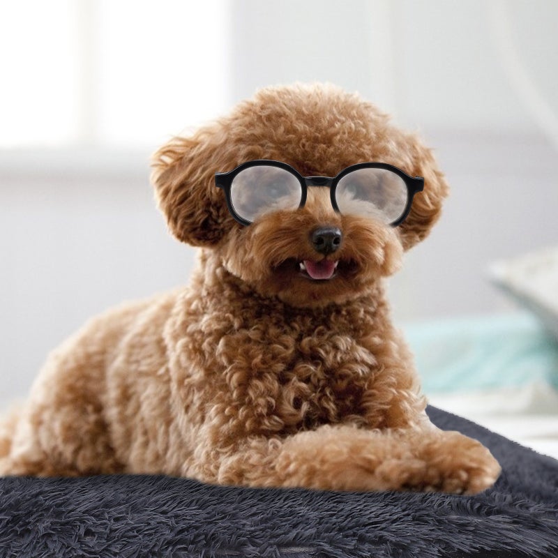 2Pcs Pet Dog Glasses Fashionable Puppy Party Eyeglasses Pet Eyewear - Image 5