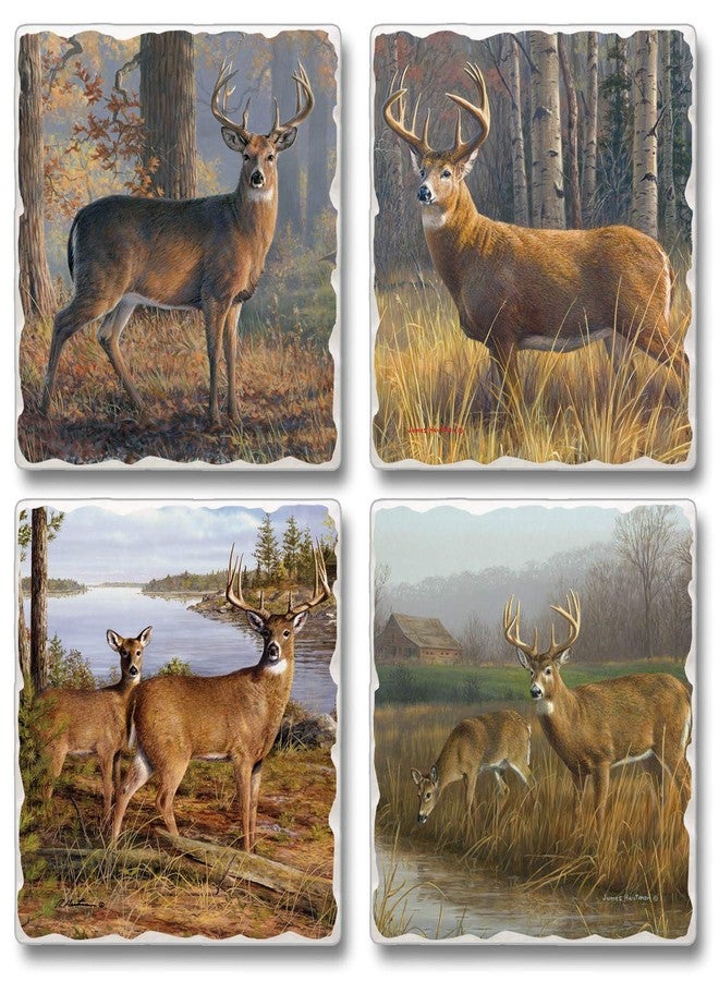 Counterart Thirstystone Deer Legends 4 Pack Assorted Tumbled Tile Stone Coasters with Protective Cork Backing 4" Square Manufactured in The USA - Image 1