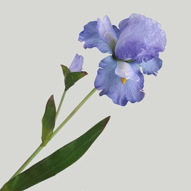 Y&D YOPIN-3611 Premium 2-Head Large Silk Artificial Iris Flowers Long Stem - Realistic Floral Home Decor - Image 2