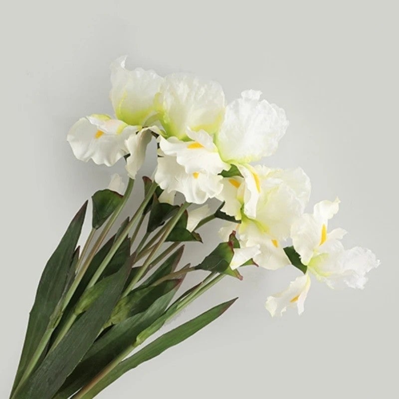 Y&D YOPIN-3611 Premium 2-Head Large Silk Artificial Iris Flowers Long Stem - Realistic Floral Home Decor - Image 4