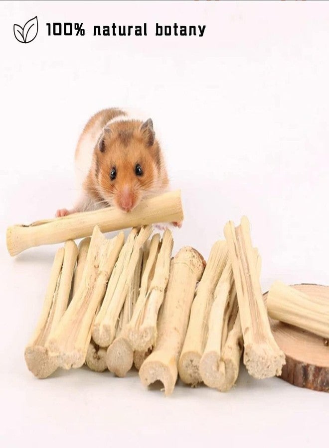 WYOMER 2lb Natural Sweet Bamboo Chew Toys for Pets - Molar Chew Sticks & Treats for Animals - Image 2