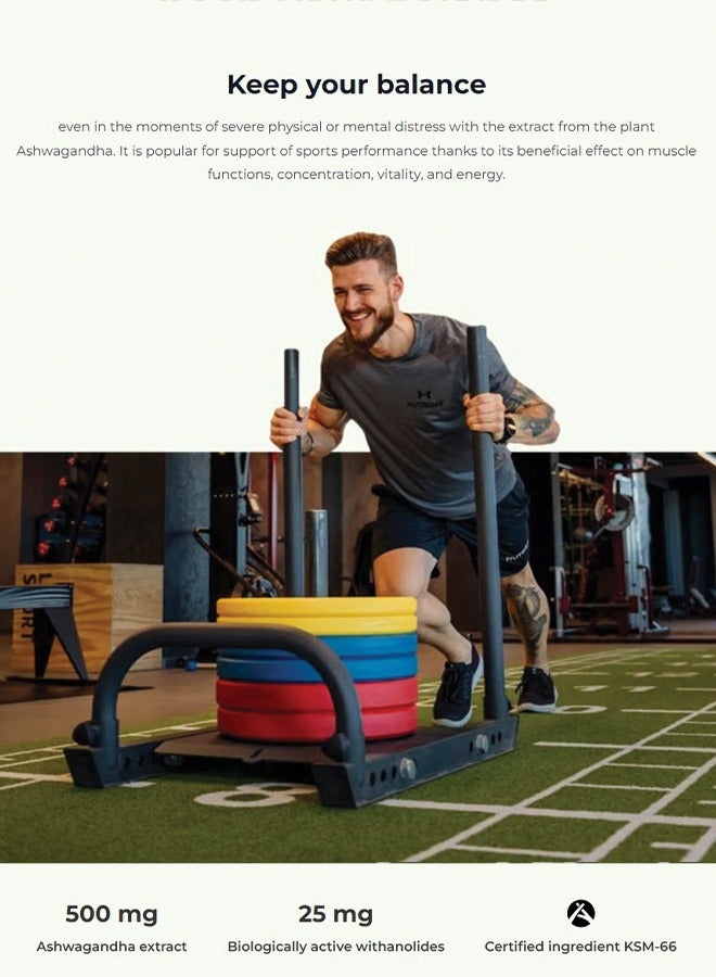 NUTREND Ashwagandha KSM-66 Vegan 60 Capsule - Image 4