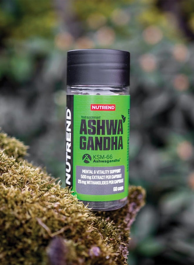 NUTREND Ashwagandha KSM-66 Vegan 60 Capsule - Image 2