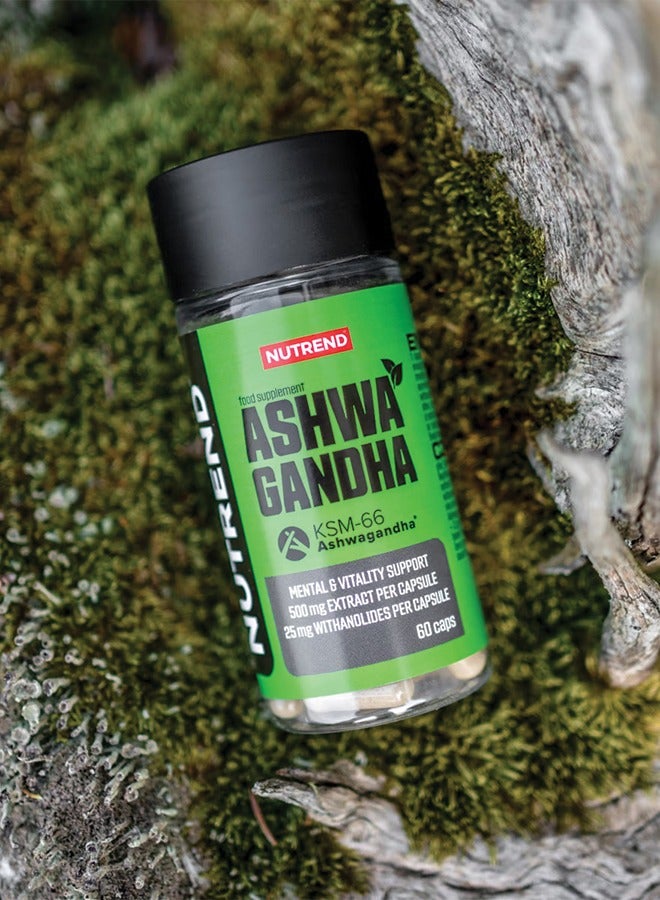 NUTREND Ashwagandha KSM-66 Vegan 60 Capsule - Image 3