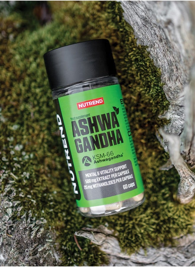 NUTREND - Ashwagandha KSM-66 Vegan 60 Capsule - Image 1