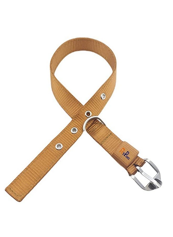 مجموعة حزام للكلاب مكونة من طوق نايلون بطول 1.25 بوصة مع سلسلة ثقيلة للكلاب بطول 63 بوصة (مقاس كبير جدًا) - ذهبي - Image 4