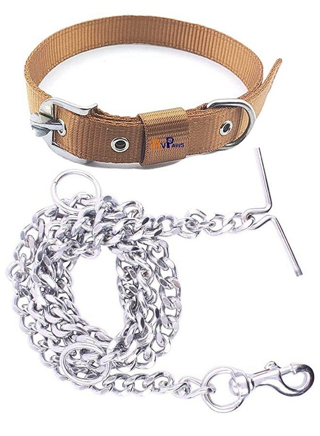 مجموعة حزام للكلاب مكونة من طوق نايلون بطول 1.25 بوصة مع سلسلة ثقيلة للكلاب بطول 63 بوصة (مقاس كبير جدًا) - ذهبي - Image 1