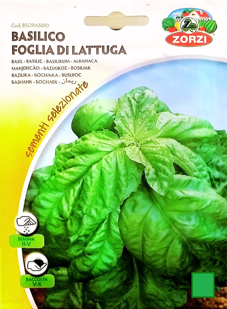 ZORZI Basil Seeds - Image 1