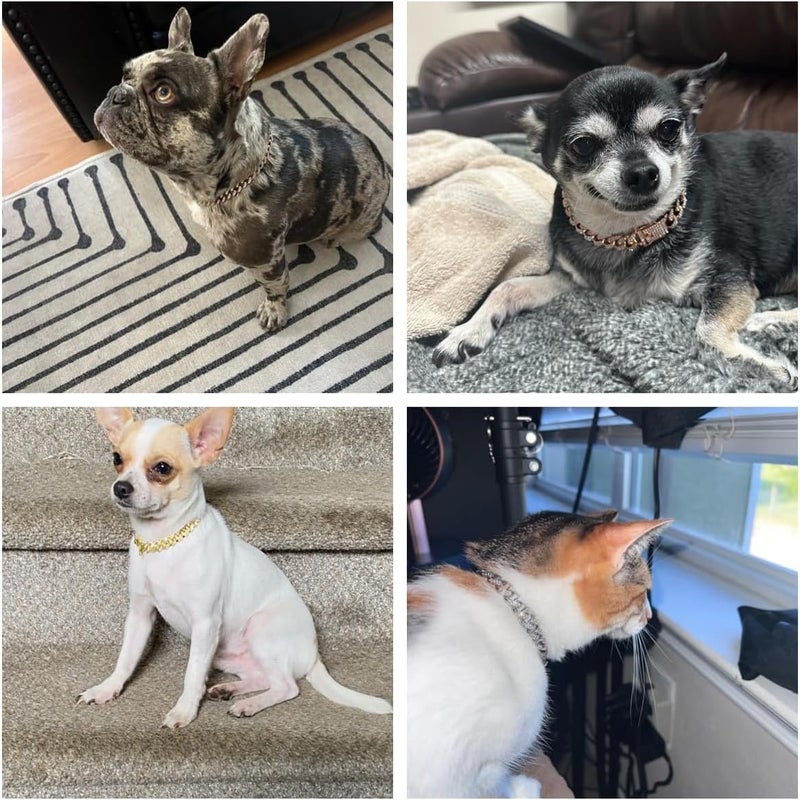 Weimostar Rose Gold Dog Chain Collars,Rhinestone Dog Necklace Bling Diamond Sparkly Jewelry Metal Puppy Collars for XS Small Medium Large Girl Female Pets Cats 14 Inch - Image 2