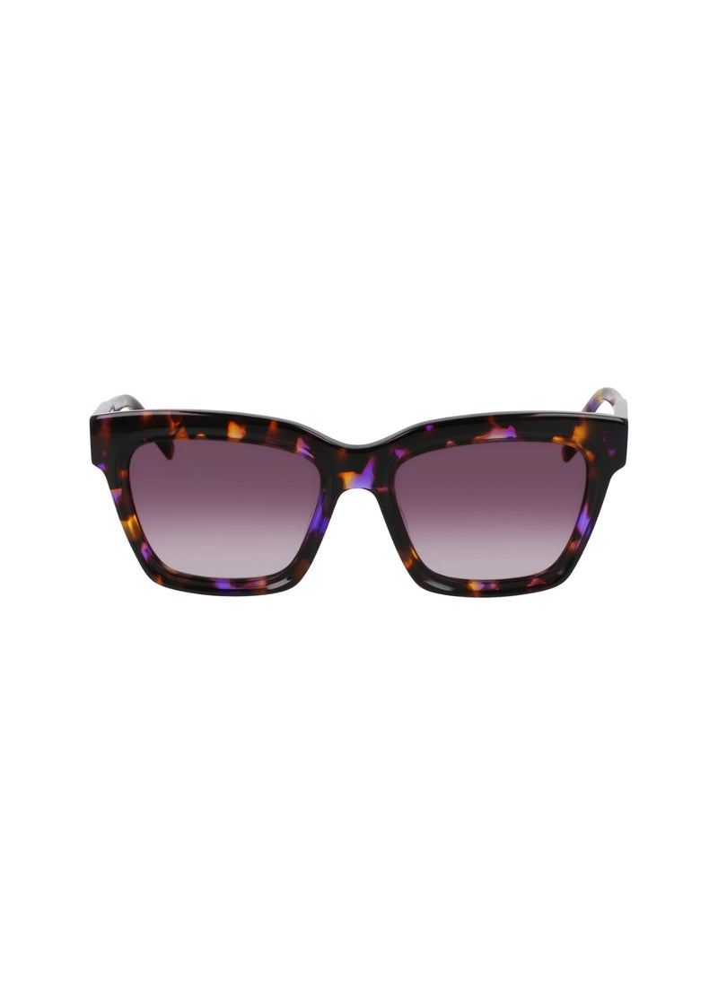 DKNY FULL RIM ACETATE ACETATE DKNY SUN DK551S 5318 (540) VIOLET TORTOISE  - Image 2