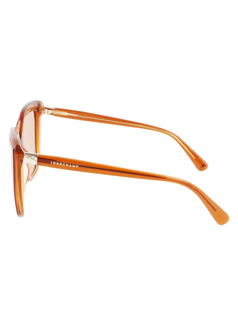 Longchamp Women's UV Protection Rectangular Shape Acetate Sunglasses LO689S-744-5321 - Lens Size: 53 - Honey/Orange  - Image 4
