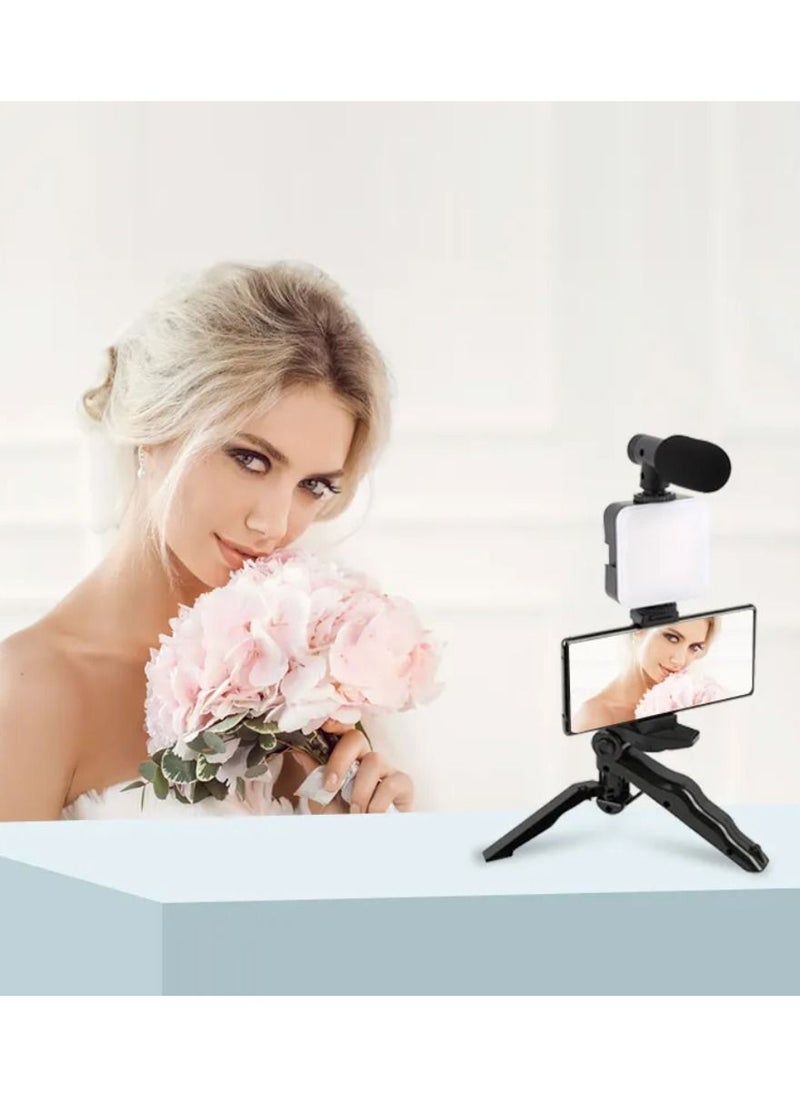 DIGI CORE Vlogging Kit For iPhone YouTube Starter Kit With Microphone LED Light Remote Control For Android Phones/Camera Vlogger Video Recording Mini Tripod Stand AY-49  - Image 4