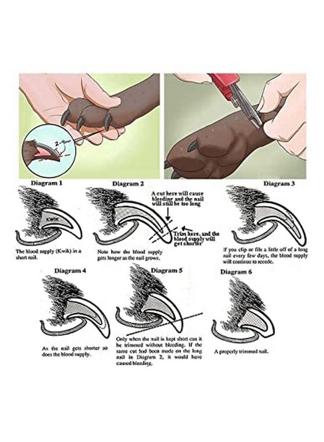 Generic Dog Grooming Kit - Dog Nail Clippers With Filer + Dog Toothbrush Kit + Pet Grooming Glove For Dog, Puppy, Cat And Kitten - 3 In 1 Dog Combo - Image 5