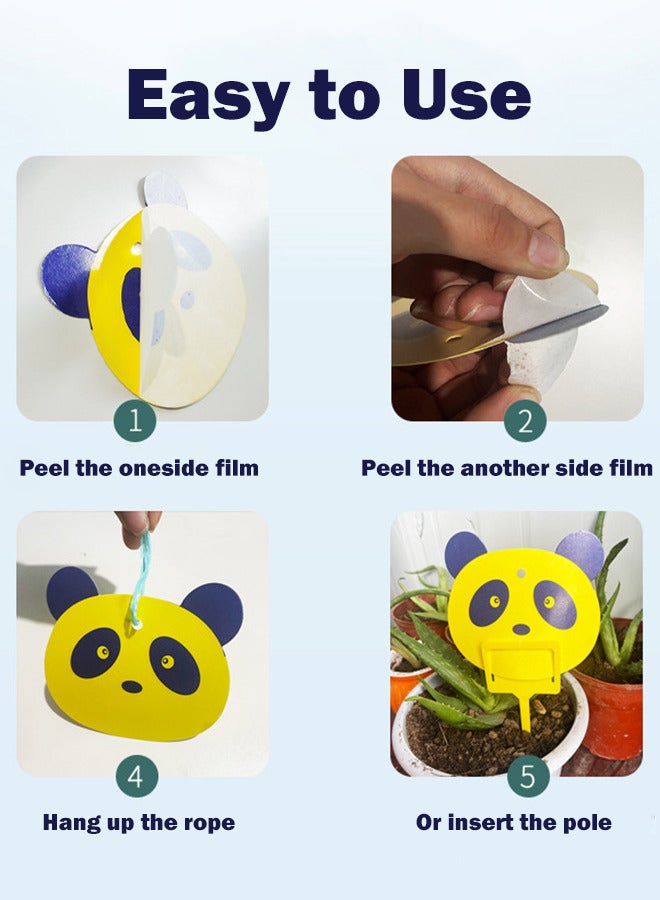 6 Pack Fruit Fly Traps Panda Gnat Sticky Traps for Indoor Outdoor House Plants Fungus Traps Insect Catcher for Mosquitoes Bug Fungus Gnats Pest Insect Catcher Killer - Image 3
