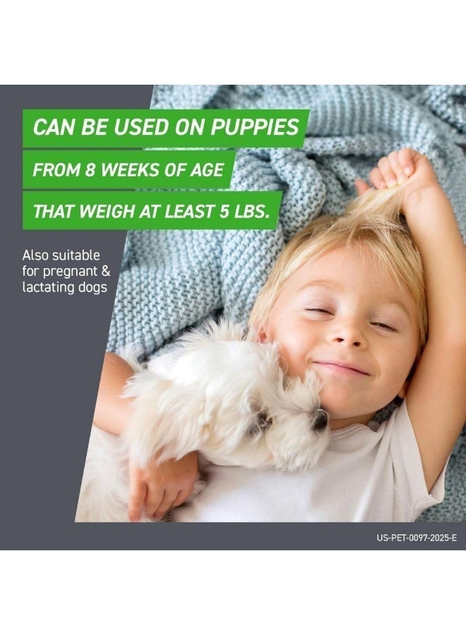 Frontline Flea and Tick Spot on Combo Treatment for Dogs and Home Protection, Small - Image 3