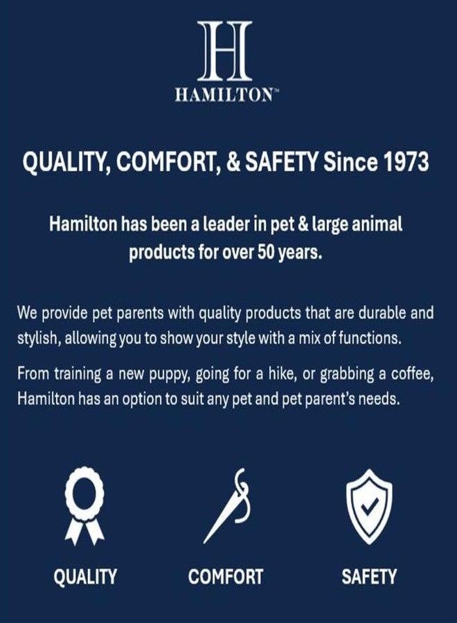 Hamilton Prong Training Dog Collar with 3.2mm Chrome Prongs - Image 2