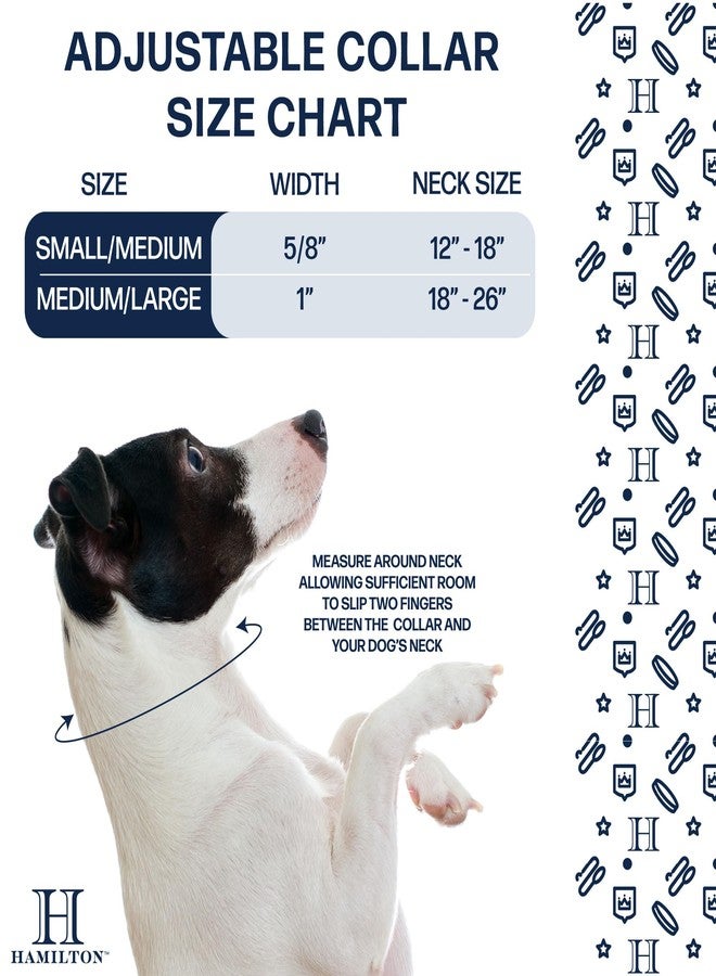 Hamilton Prong Training Dog Collar with 3.2mm Chrome Prongs - Image 3