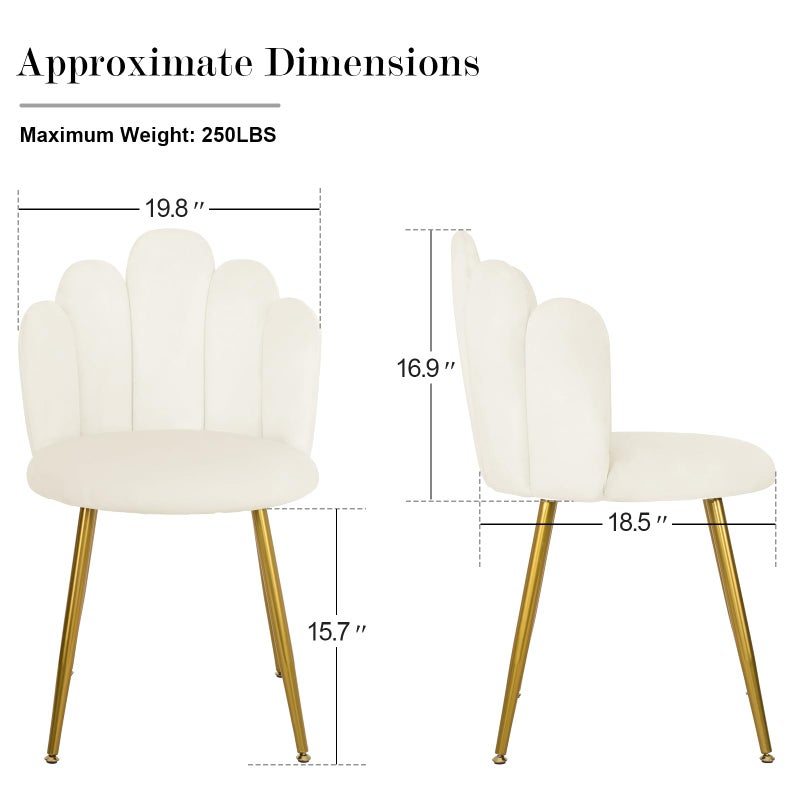 BOWTHY Vanity Chair for Makeup Room - Midcentury Modern Accent Chair for Living Room Bedroom, Makeup Chair with Back Support Velvet Chair with Gold Legs (Cream) - Image 3