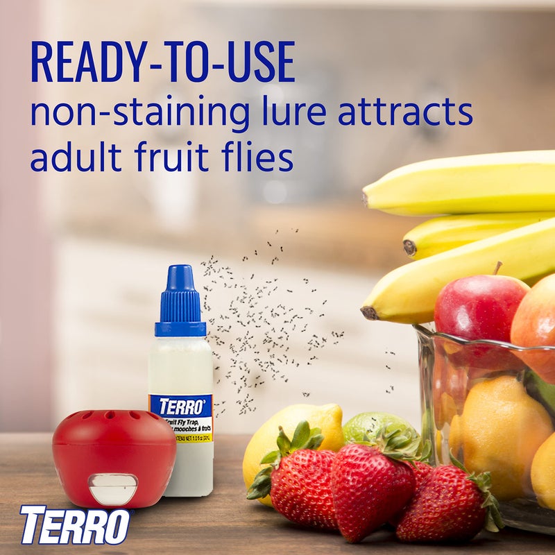 TERRO T2502 Ready-to-Use Indoor Fruit Fly Trap with Built in Window - 2 Traps + 90 day Lure Supply - Image 2