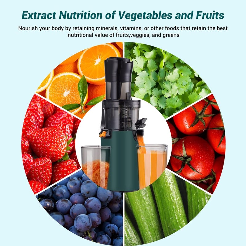 INKBIRDPLUS Masticating Juicer, 200W Slow Cold Press Squeezer Machine with Wide Chute, BPA-Free, Max Nutrient Juicers, High Juice Yield Extractor for Leafy Greens, Celery, Carrot, Fruits & Vegetables - Image 2