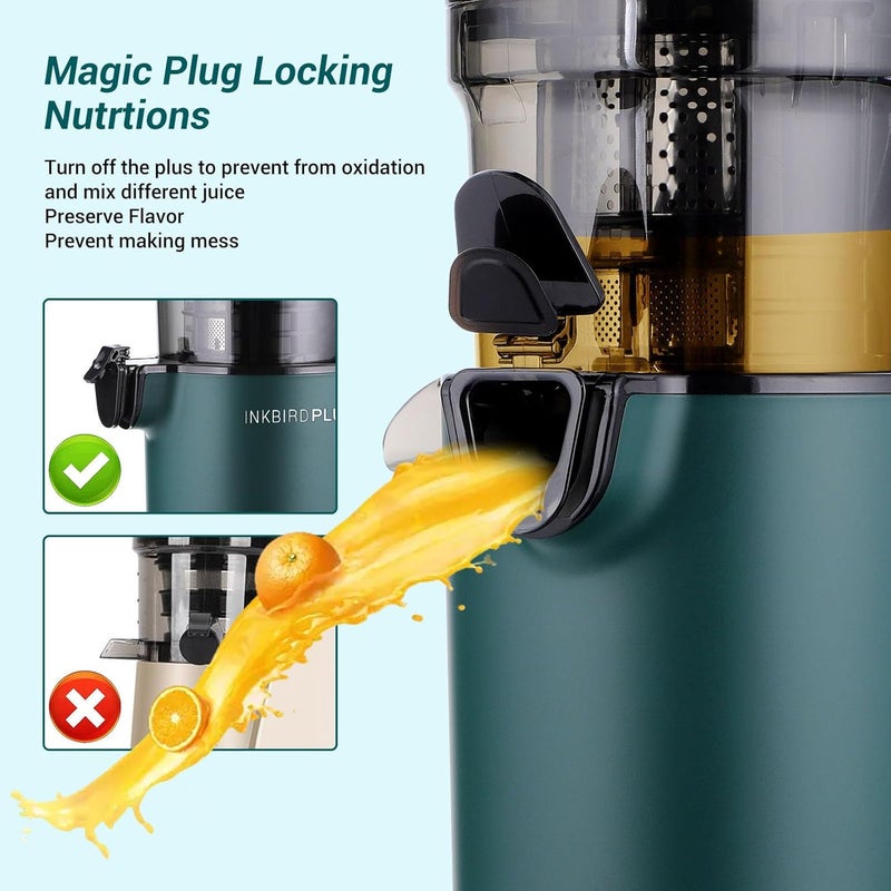 INKBIRDPLUS Masticating Juicer, 200W Slow Cold Press Squeezer Machine with Wide Chute, BPA-Free, Max Nutrient Juicers, High Juice Yield Extractor for Leafy Greens, Celery, Carrot, Fruits & Vegetables - Image 4