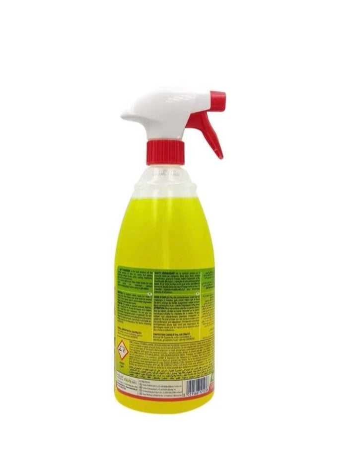 Dasty Dusty Degreaser Classic Ltalian Multi-Use cleaner And Degreaser Spray 1 Liter - Image 4