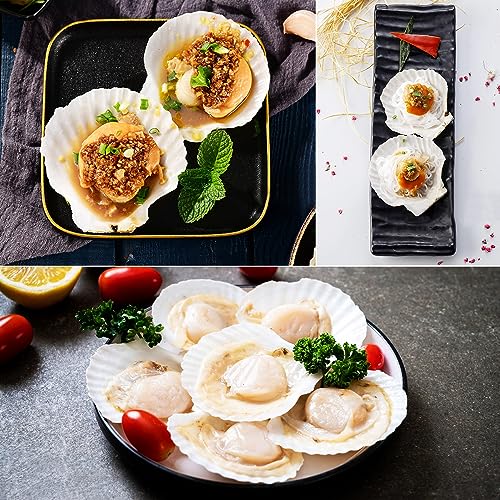 Jangostor 16 PCS Scallop Shells Natural Seashell, 4" to 5" White Scallop Shells Large Seashells for Crafts Wedding Decor Beach Theme Party, Fish Tank and Vase Filler - Image 5