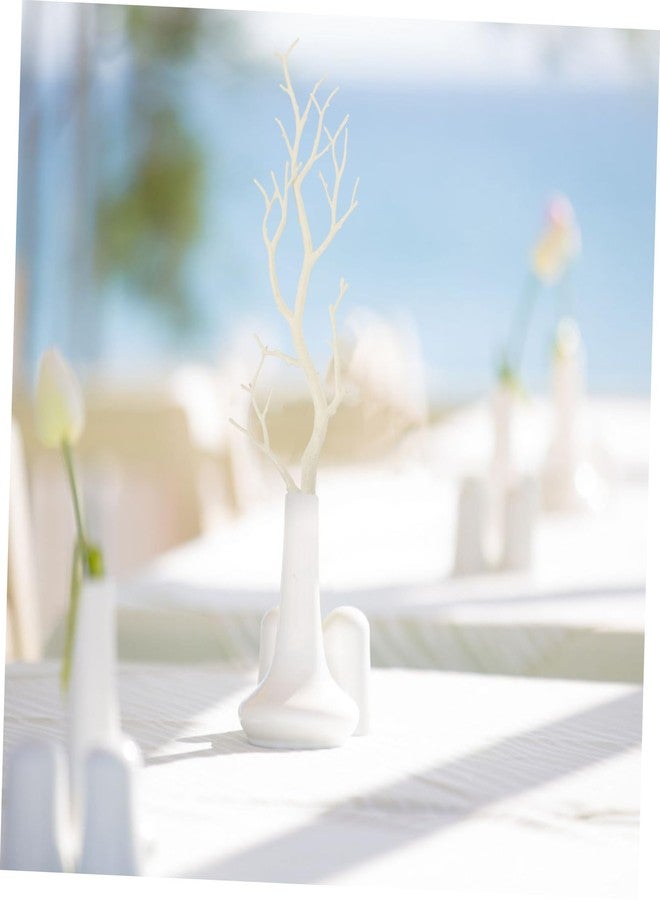 BESPORTBLE 2pcs Dry Branches Christmas Floral Stems White Tree Branches Manzanita White Branches Tree Vines Stems Dried Tree Stems Wedding Vases Antler Dried Tree Branch Frosted - Image 5