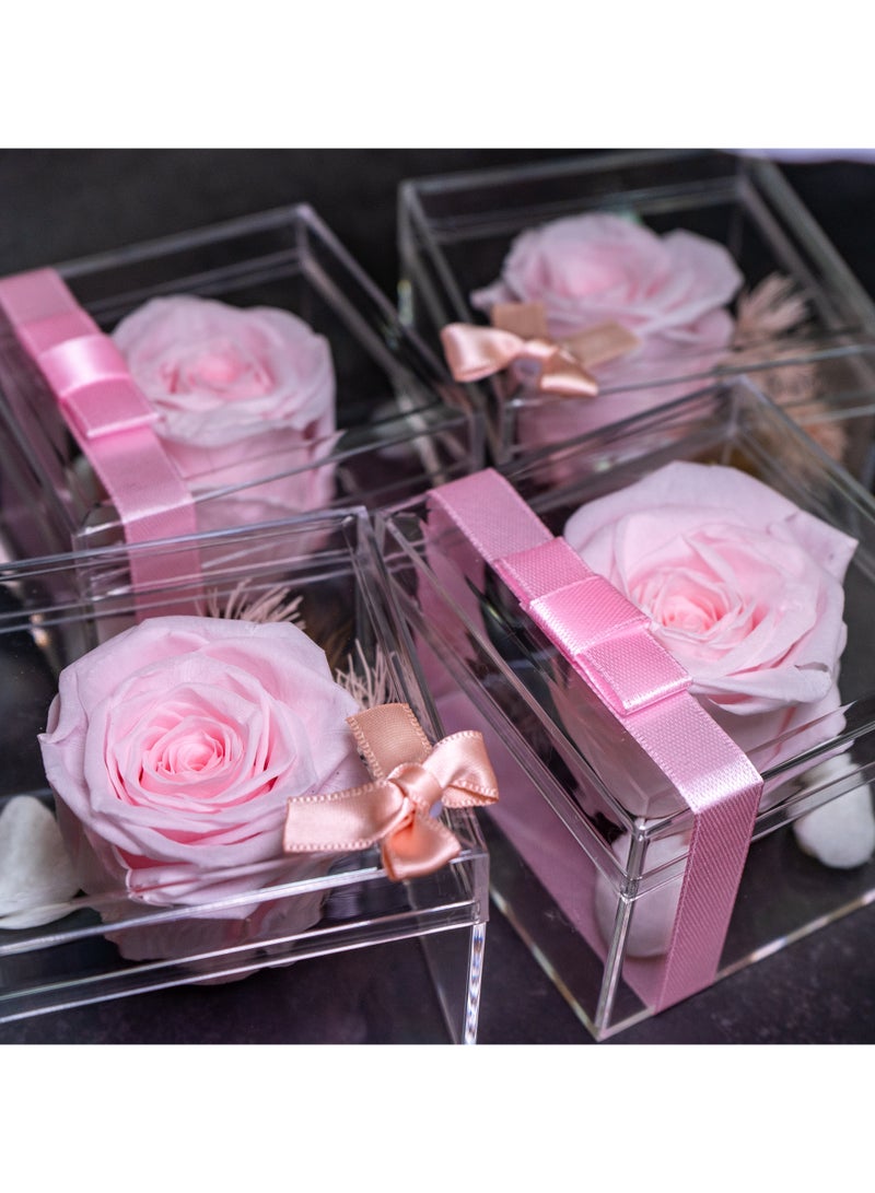   صوفيا طبيعة هدية زهرة إنفينيتي - 10 قطع - Image 1