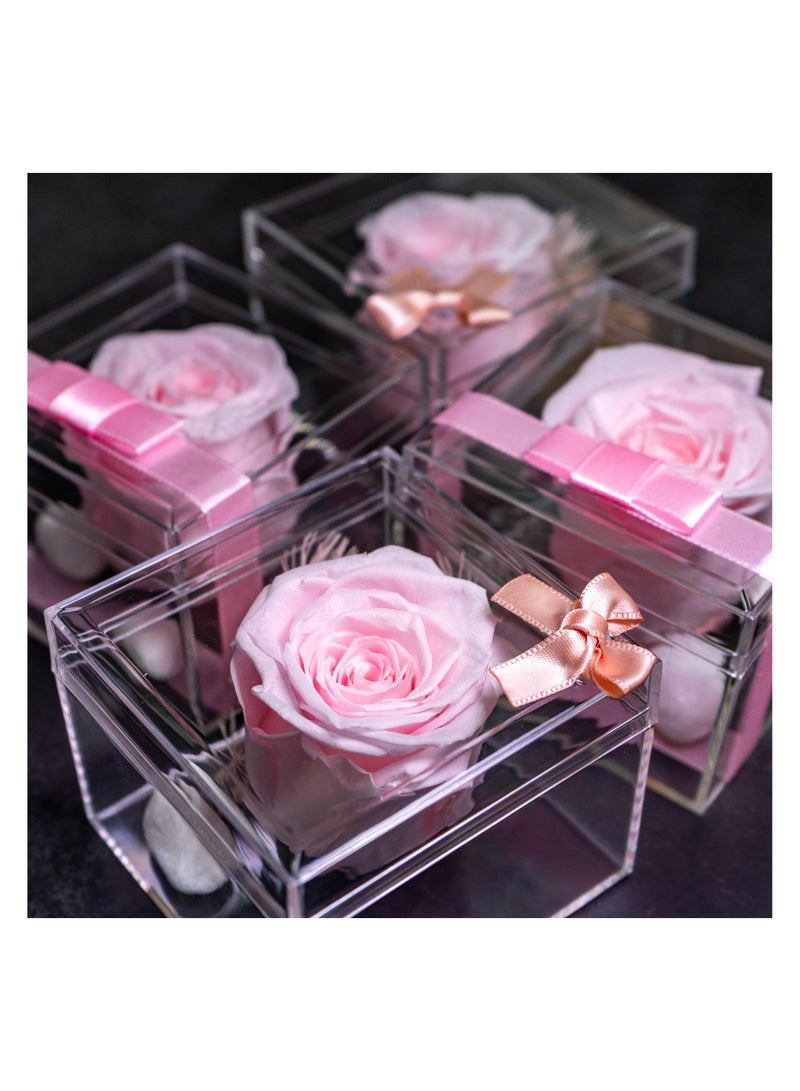   صوفيا طبيعة هدية زهرة إنفينيتي - 10 قطع - Image 2