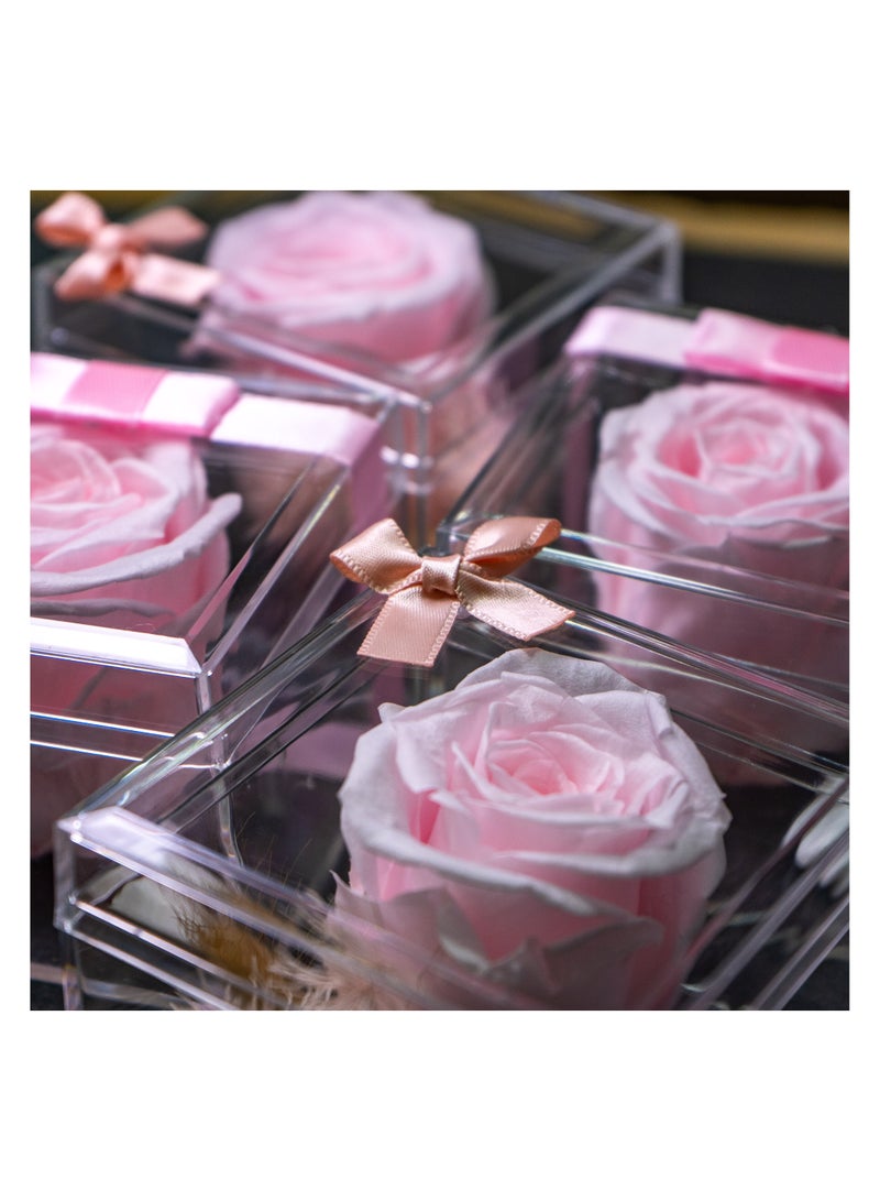   صوفيا طبيعة هدية زهرة إنفينيتي - 10 قطع - Image 3