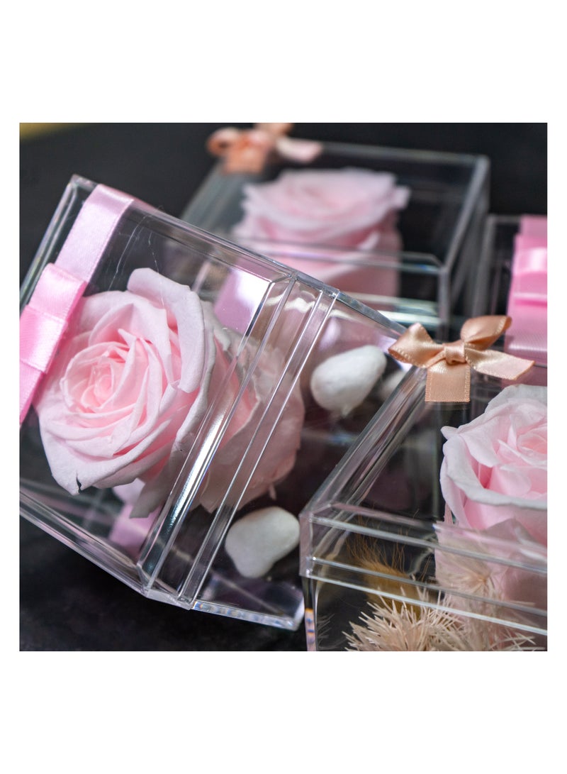   صوفيا طبيعة هدية زهرة إنفينيتي - 10 قطع - Image 4