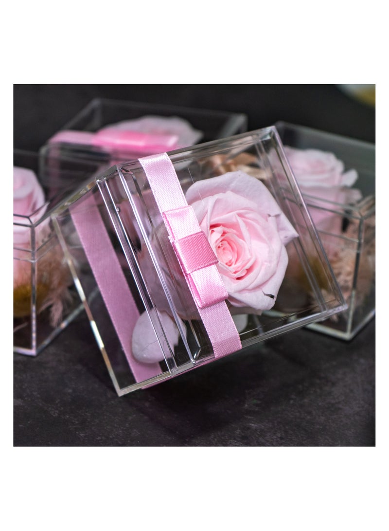   صوفيا طبيعة هدية زهرة إنفينيتي - 10 قطع - Image 5