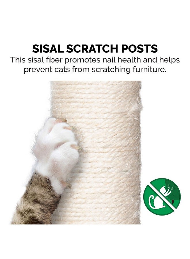 ساحة لعب بطول 15.75 بوصة للقطط التي تعيش في المنزل، وأعمدة خدش من نبات السيزال، وفرشاة تنظيف ذاتية، ولعبة - ساحة لعب تفاعلية من Tiger Tough Hammock - فضية، مقاس واحد - Image 5