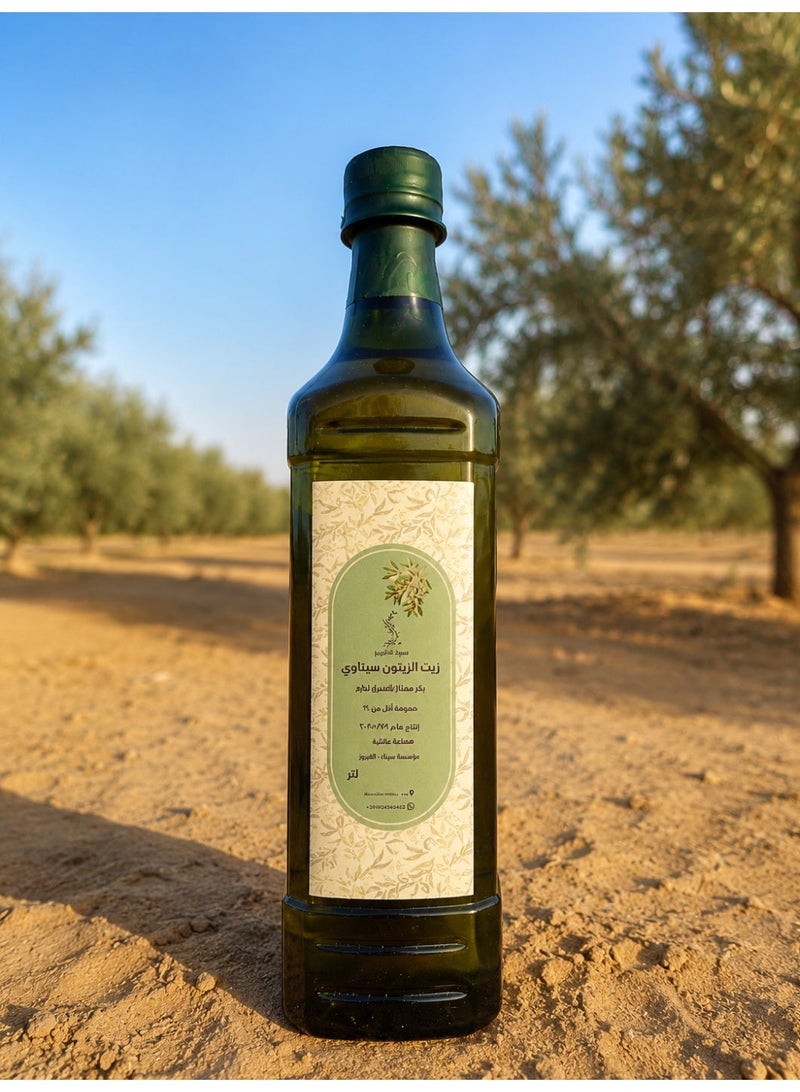 Sinai olive oil - Image 2